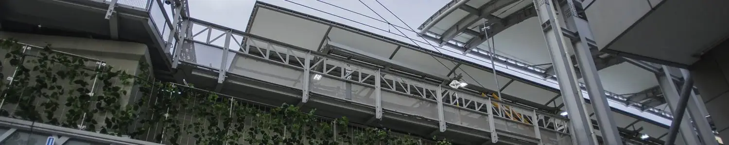 押上のフリー写真素材