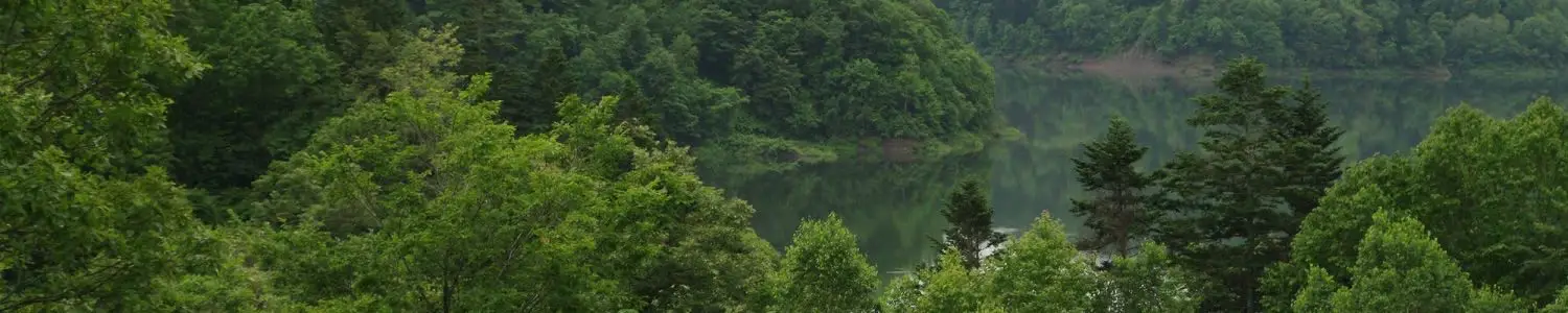 三笠のフリー写真素材