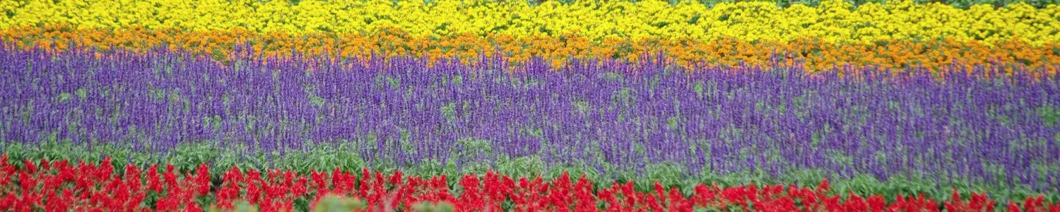 富良野のフリー写真素材