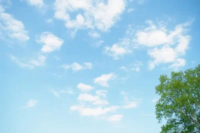 2025年5月の人気写真素材ランキング