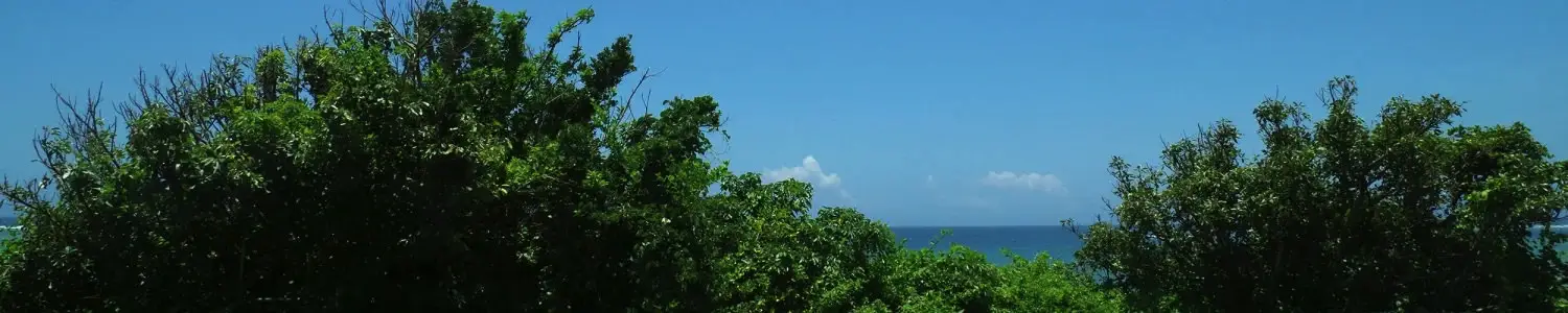 自然風景のフリー写真素材