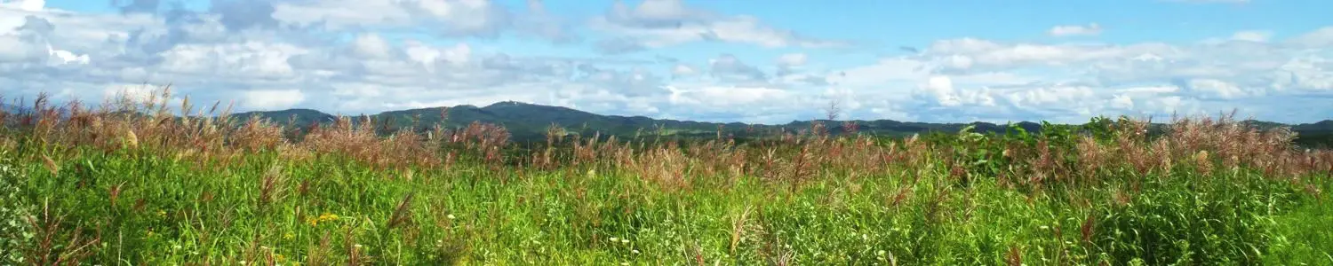 草原のフリー写真素材