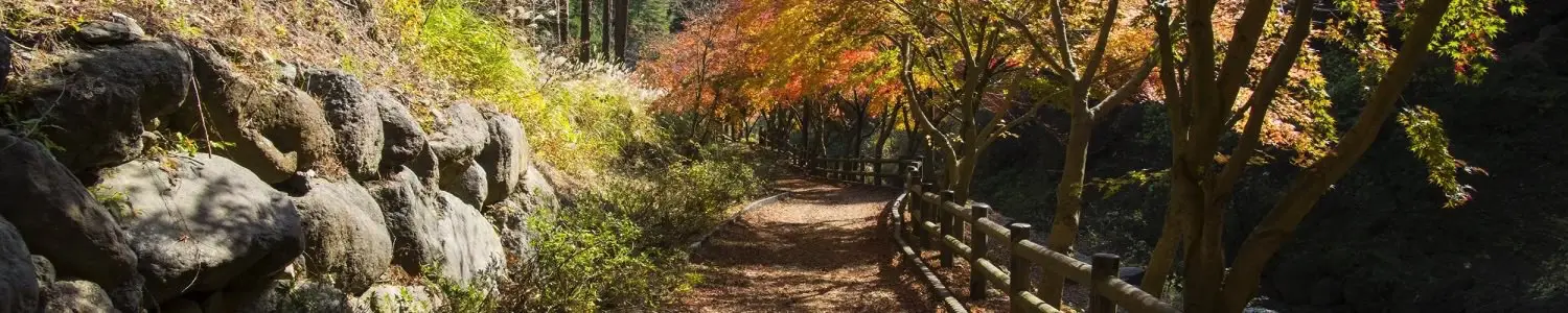 三ツ峠のフリー写真素材