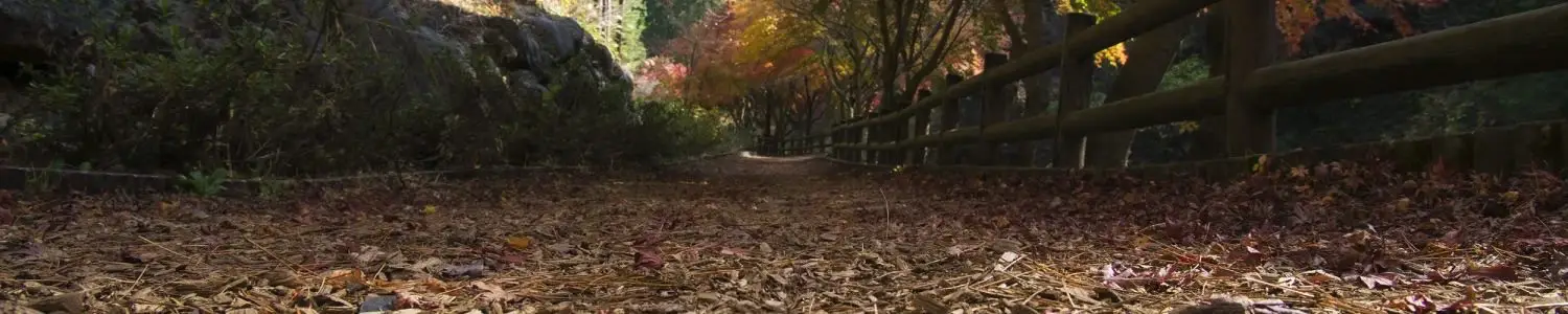 土・地面のフリー写真素材