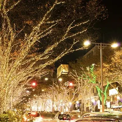 イルミネーション