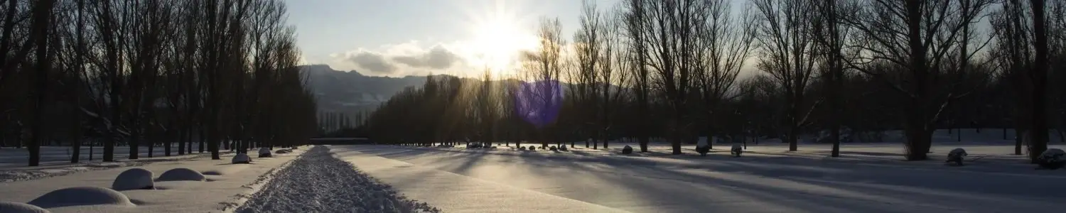 冬・雪のフリー写真素材