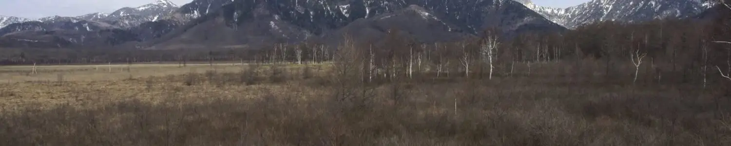 湿原のフリー写真素材