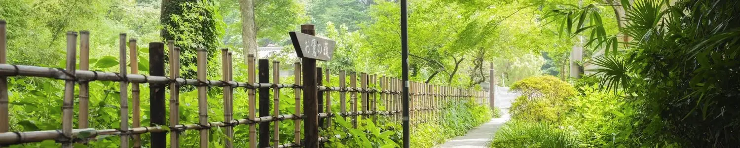 国分寺のフリー写真素材