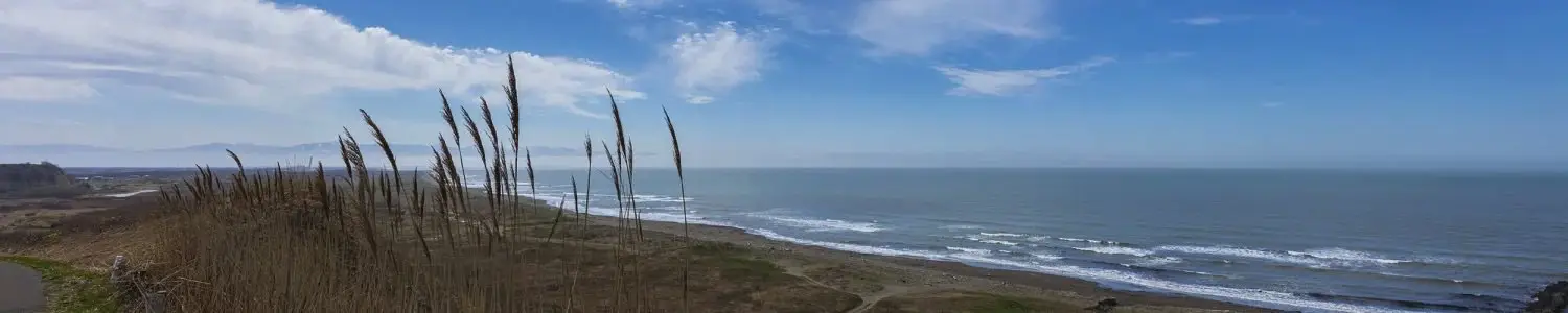 望来のフリー写真素材