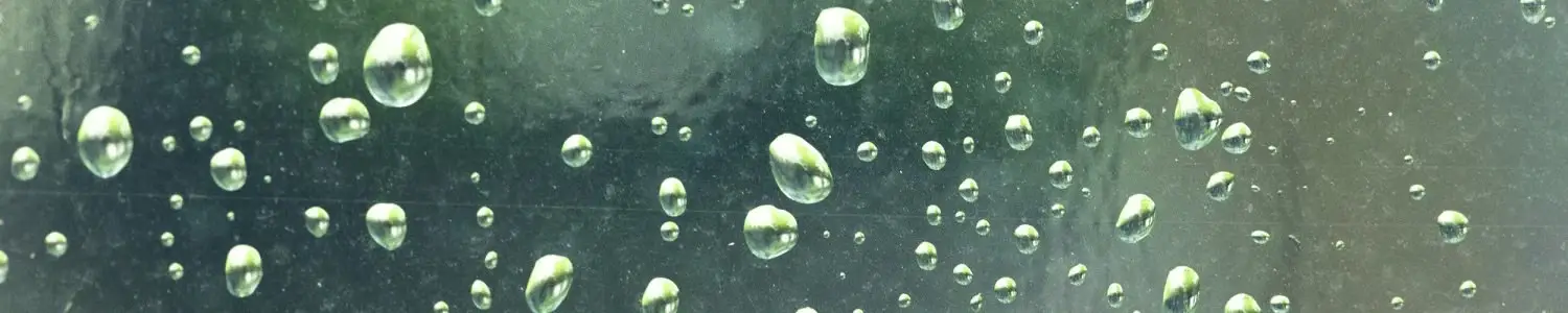 雨のフリー写真素材